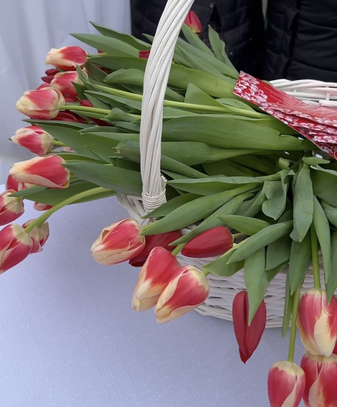 Цветы для женщин Оргеева и Бельц: представители команды Илана Шора устроили флешмоб на улицах городов